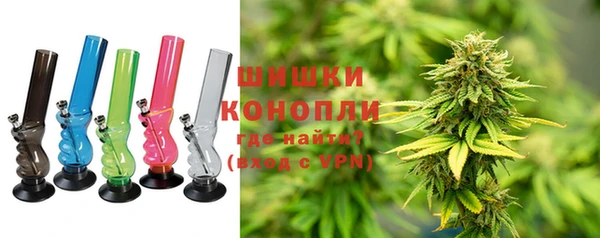 ПСИЛОЦИБИНОВЫЕ ГРИБЫ Михайловка